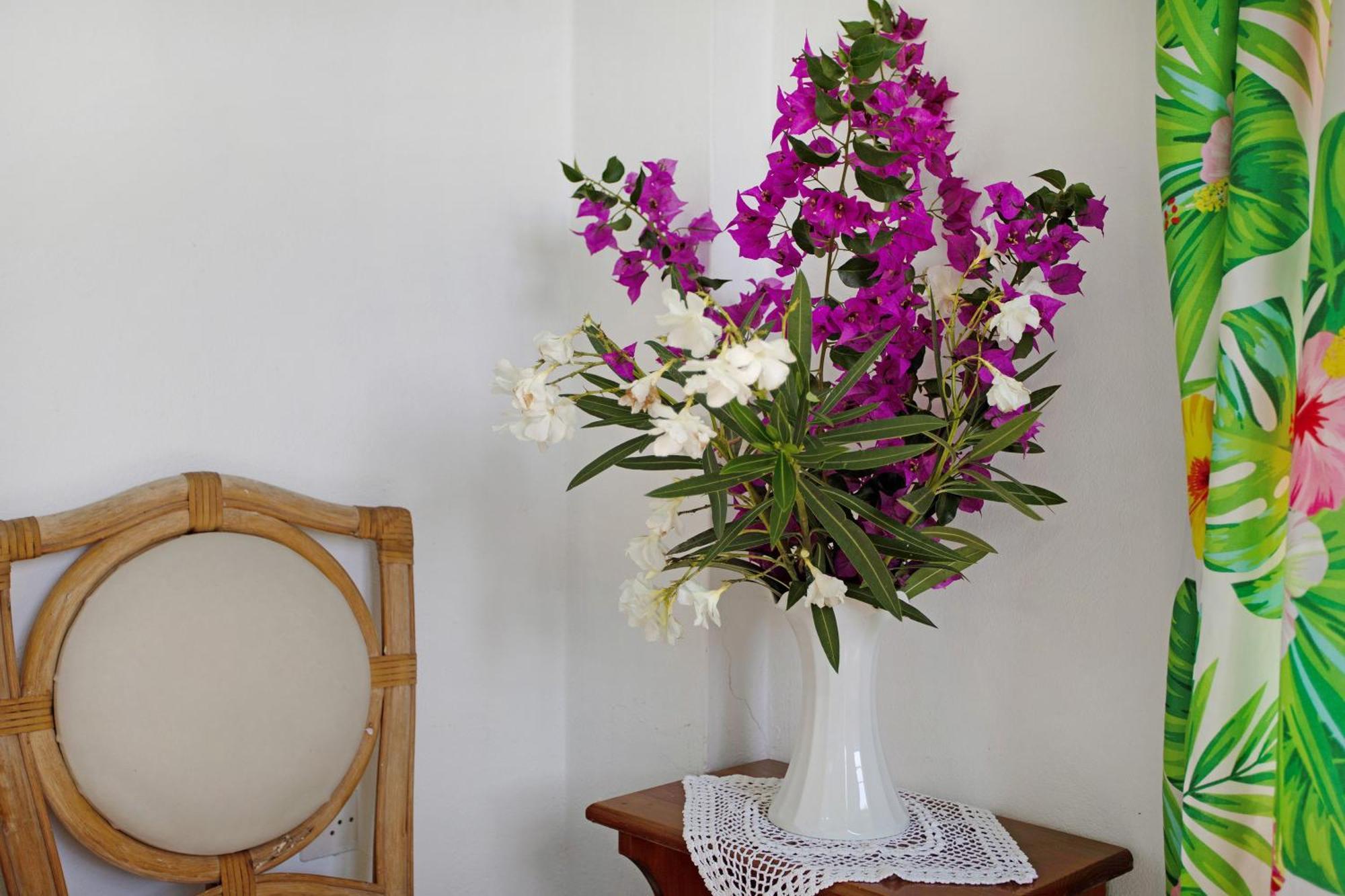 Appartement Areti Orfeas Budget